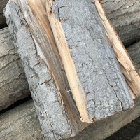 Beech firewood