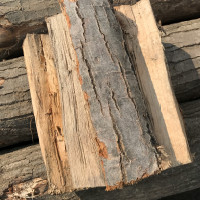 Oak firewood